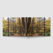 Sunlit Herbstweg im Laurel Hill Staat Park Gästebuch (Voll)