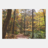 Sunlit Herbstweg im Laurel Hill Staat Park Geschenkpapier Set (Vorderseite)