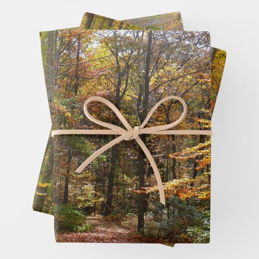 Sunlit Herbstweg im Laurel Hill Staat Park Geschenkpapier Set (Beispiel)