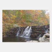 Sunlit Herbstweg im Laurel Hill Staat Park Geschenkpapier Set (Vorderseite 3)