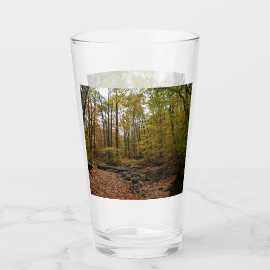 Sunlit Herbstweg im Laurel Hill Staat Park Glas (Rückseite)