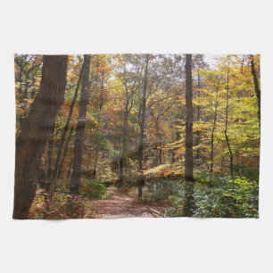 Sunlit Herbstweg im Laurel Hill Staat Park Handtuch