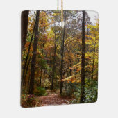 Sunlit Herbstweg im Laurel Hill Staat Park Keramikornament (Rechts)