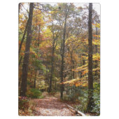 Sunlit Herbstweg im Laurel Hill Staat Park Klemmbrett (Rückseite)