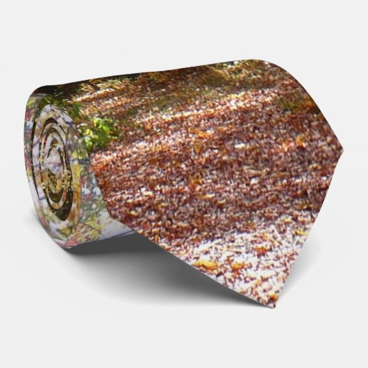 Sunlit Herbstweg im Laurel Hill Staat Park Krawatte (Gerollt)