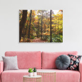 Sunlit Herbstweg im Laurel Hill Staat Park Leinwanddruck (Insitu (Wohnzimmer))