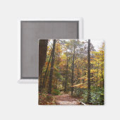 Sunlit Herbstweg im Laurel Hill Staat Park Magnet (Vorderseite/Rückseite)