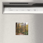 Sunlit Herbstweg im Laurel Hill Staat Park Magnet (In Situ (Geschirrspüler))