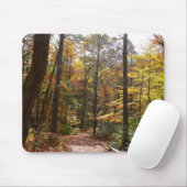 Sunlit Herbstweg im Laurel Hill Staat Park Mousepad (Mit Mouse)