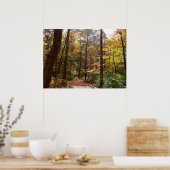 Sunlit Herbstweg im Laurel Hill Staat Park Poster (Küche)