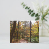 Sunlit Herbstweg im Laurel Hill Staat Park Postkarte (Stehend Vorderseite)
