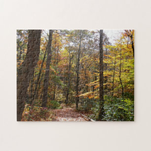 Sunlit Herbstweg im Laurel Hill Staat Park Puzzle