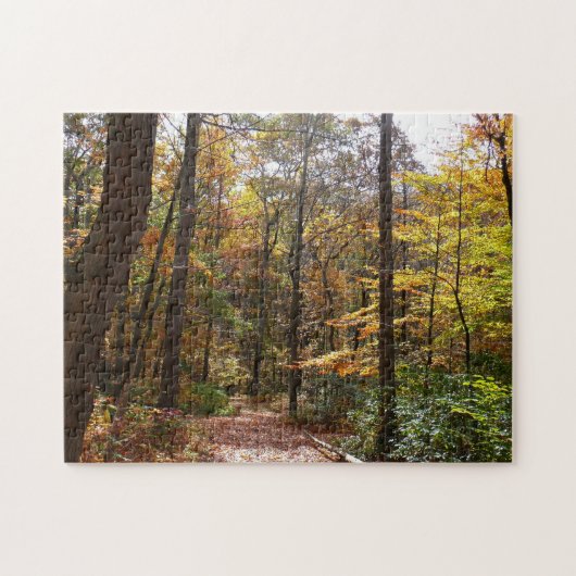 Sunlit Herbstweg im Laurel Hill Staat Park Puzzle (Horizontal)