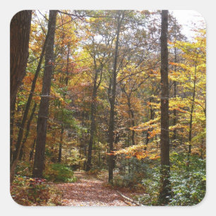 Sunlit Herbstweg im Laurel Hill Staat Park Quadratischer Aufkleber