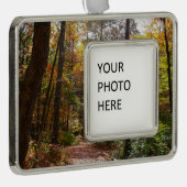Sunlit Herbstweg im Laurel Hill Staat Park Rahmen-Ornament Silber (Rechts)