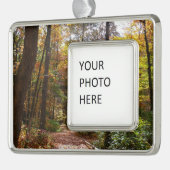 Sunlit Herbstweg im Laurel Hill Staat Park Rahmen-Ornament Silber (Links)