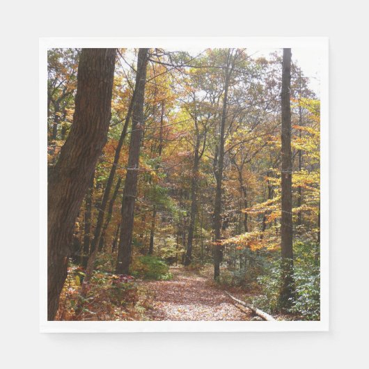 Sunlit Herbstweg im Laurel Hill Staat Park Serviette (Vorderseite)