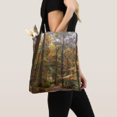 Sunlit Herbstweg im Laurel Hill Staat Park Tasche (Von Nahem)