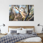 Sunlit Japanisch Apricot Sakura Weiße Blume Leinwanddruck (Insitu (Schlafzimmer))
