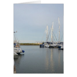 Sunlit Masts