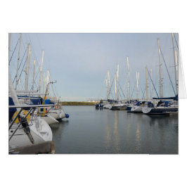 Sunlit Masts