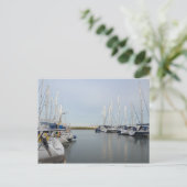 Sunlit Masts Postkarte (Stehend Vorderseite)