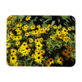Sunlit Meadow Magnet (Horizontal)