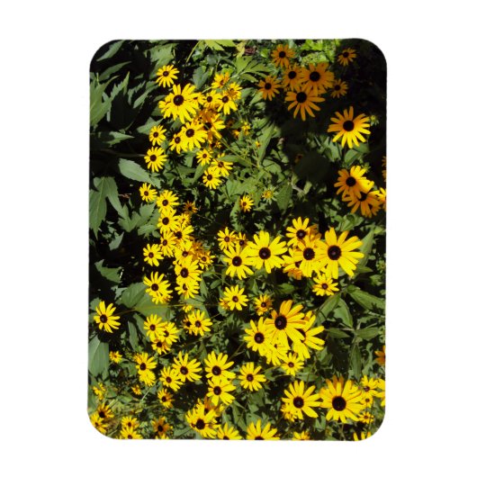 Sunlit Meadow Magnet (Vertikal)