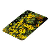 Sunlit Meadow Magnet (Linke Seite)