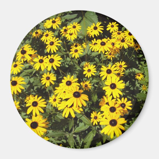 Sunlit Meadow Magnet (Vorne)