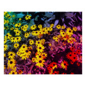 Sunlit Meadow Poster (Vorderseite)