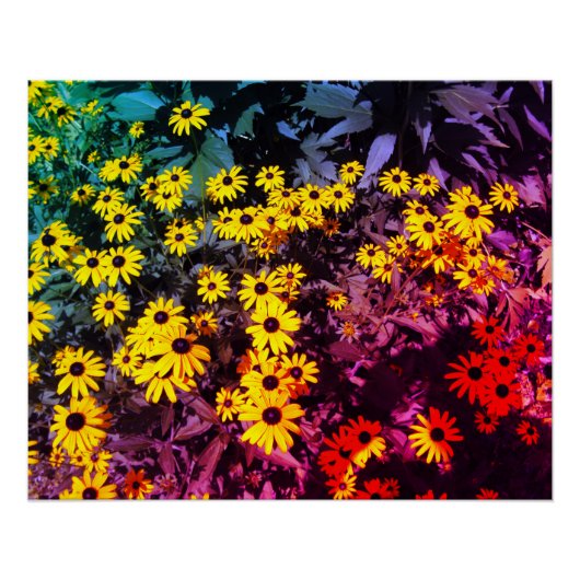 Sunlit Meadow Poster (Vorderseite)