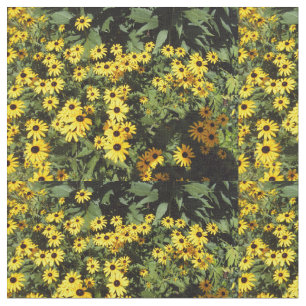 Sunlit Meadow Stoff