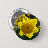 Sunlit Narzisse Button (Vorne & Hinten)
