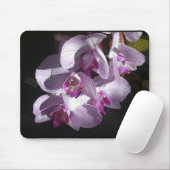 Sunlit Orchideen Mousepad (Mit Mouse)