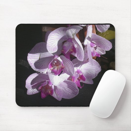 Sunlit Orchideen Mousepad (Mit Mouse)