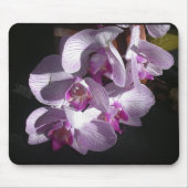 Sunlit Orchideen Mousepad (Vorne)