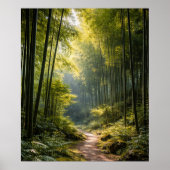 Sunlit Path Through Bamboo Forest Poster (Vorne)