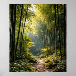 Sunlit Path Through Bamboo Forest Poster
