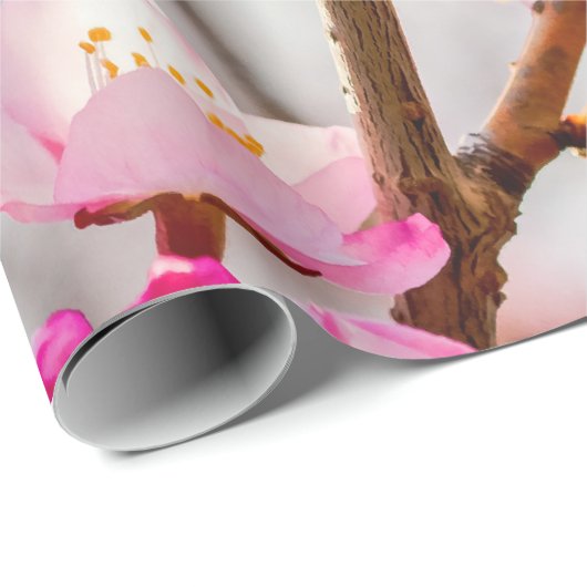 Sunlit Pink Sakura Blume. Cherry Blossoms Geschenkpapier (Rolleneckpunkt)