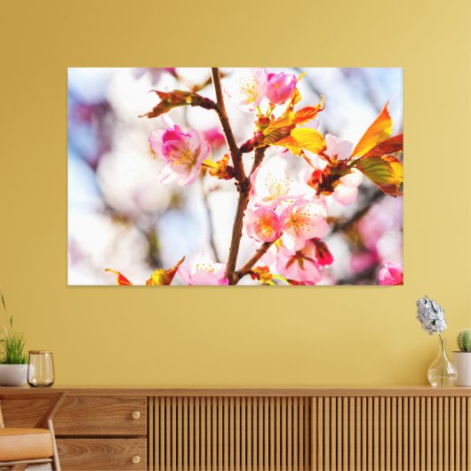 Sunlit Pink Sakura Blume. Cherry Blossoms Leinwanddruck (Insitu (Wohnzimmer))