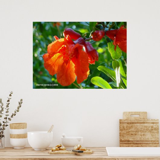 Sunlit Pomegranate Blume Poster (Küche)