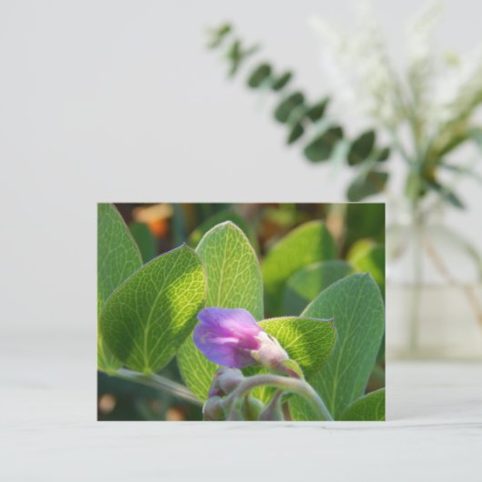 Sunlit Postkarte (Stehend Vorderseite)