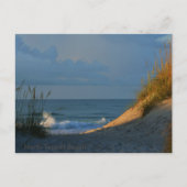 "Sunlit" Postkarte (Vorderseite)