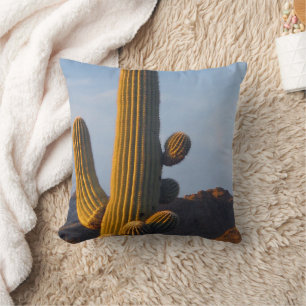 Sunlit Saguaro Cactus - Kissen