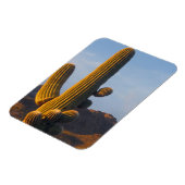 Sunlit Saguaro Cactus Magnet (Linke Seite)