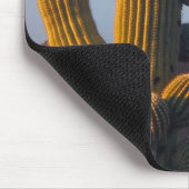 Sunlit Saguaro Cactus - Mousepad (Ecke)