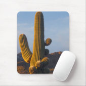 Sunlit Saguaro Cactus - Mousepad (Mit Mouse)