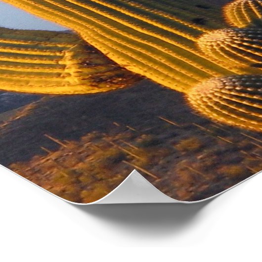 Sunlit Saguaro Cactus Poster (Ecke)