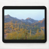 Sunlit Saguaro Field Mousepad (Vorne)